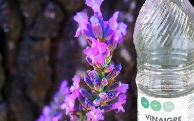Le vinaigre