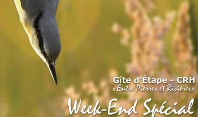 Week-end d’initiation à l’ornithologie