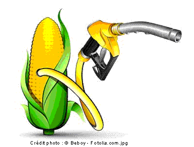 Agrocarburants