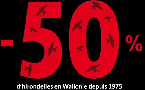 À votre avis, combien d’hirondelles ont disparu en Wallonie depuis 1975…‏