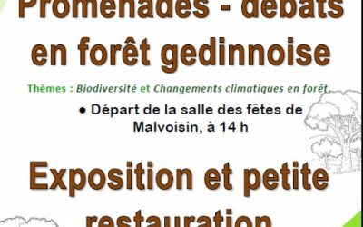 Promenades – débats en forêt gedinnoise