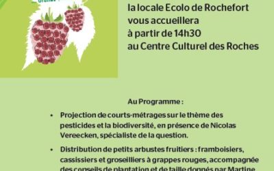 PETITS FRUITS – GRANDS EFFETS