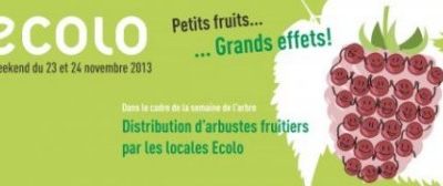 Petits fruits…   … Grands effets !
